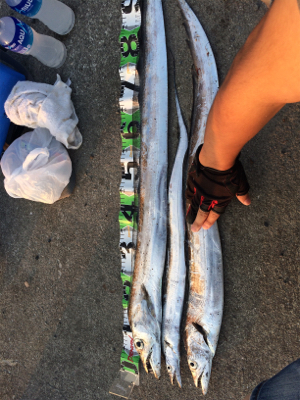 ショアでドラゴンゲット