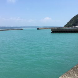 大島漁港 サビキ釣り