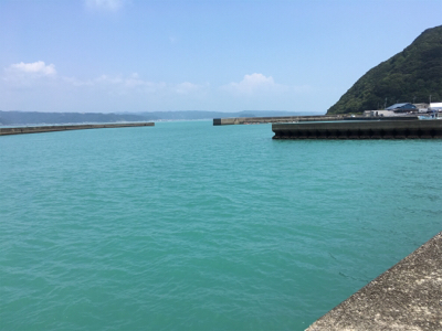 大島漁港 サビキ釣り
