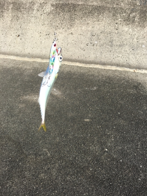 ルアーで5目達成