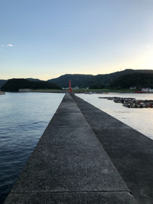 ビフテキでデカアラカブ釣れました。