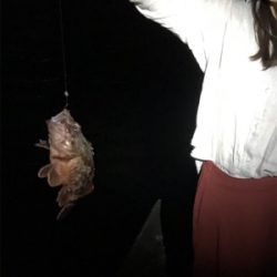 ちょこっと釣行