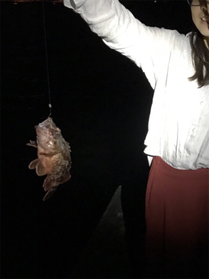 ちょこっと釣行