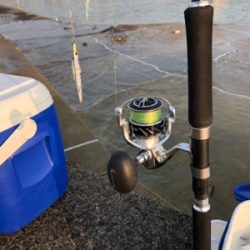 リベンジショアジギ…のはずが?