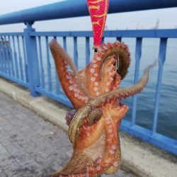 灼熱オクトパッシング。