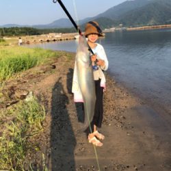 敦賀でキス釣り