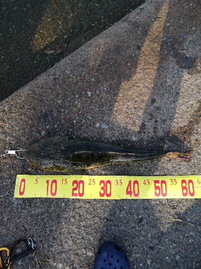 久しぶりの陸っぱり