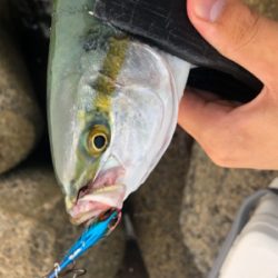 どうにかゲット！