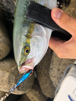 どうにかゲット！