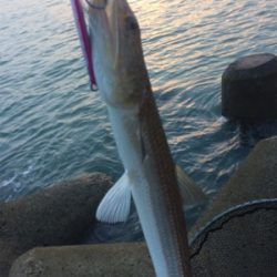 台風後のマリンピア