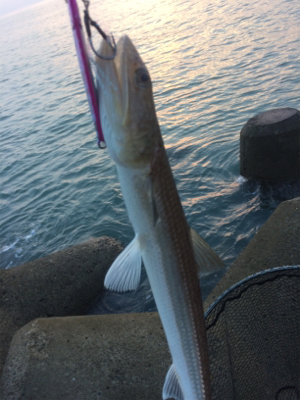 台風後のマリンピア