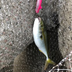 反応するルアー