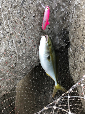 反応するルアー