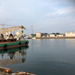 仕事帰りにちょっとアジングに……