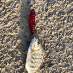 トップチニング