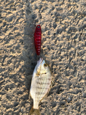 トップチニング