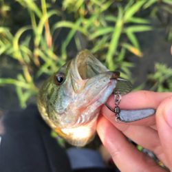 フッキングの仕方…