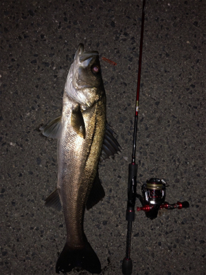 ライトゲーム遊び