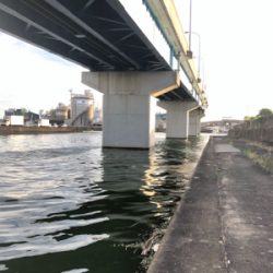 名古屋港シーバスを求めて！いや、、ボラ天国！？