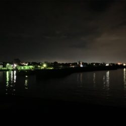 ケンサキイカ③