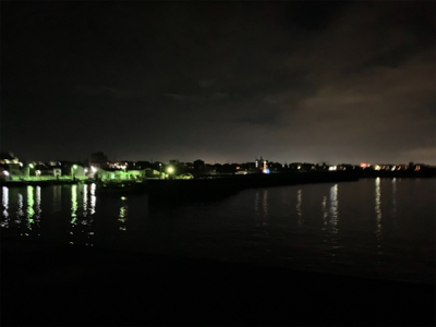 ケンサキイカ③