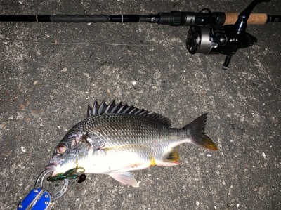 台風後チニング