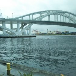かもめ大橋→夢舞大橋へ