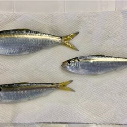 お買い物ついでに。