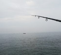 念願の今年初のハマチ!!!!