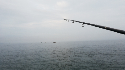 念願の今年初のハマチ!!!!