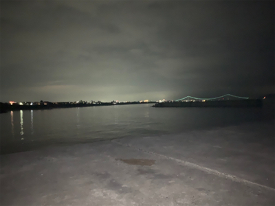 ケンサキイカ⑥