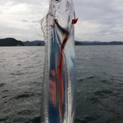 キャスティング タイラバ