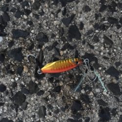 ライトショアジギング