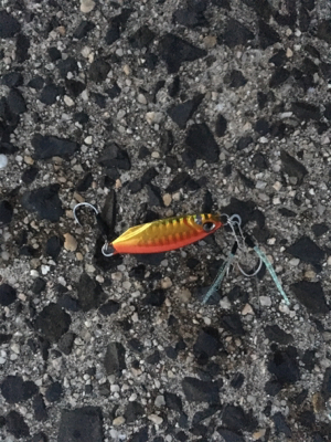 ライトショアジギング