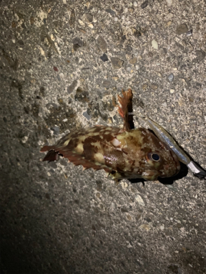 真夜中の郡六へ