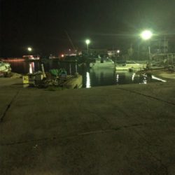 わくいくん釣れたよー♪