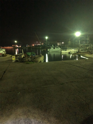 わくいくん釣れたよー♪