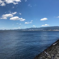 昨日に引き続き今日も