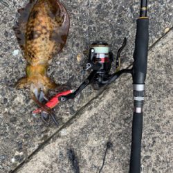 暑い！風強い！なんとかの3杯