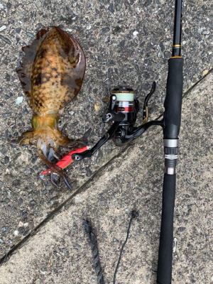 暑い！風強い！なんとかの3杯