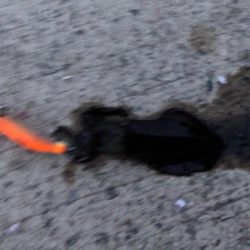 ランガンエギング