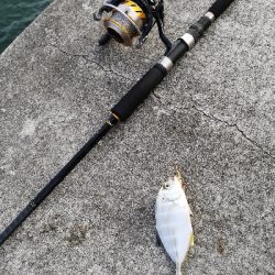 日が暮れるまで