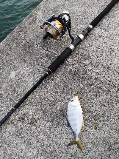 日が暮れるまで