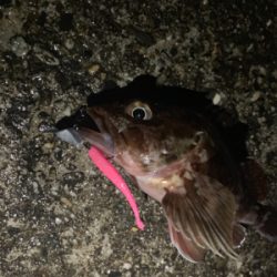 雨降る中いつも通りの場所へ