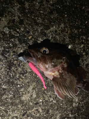 雨降る中いつも通りの場所へ