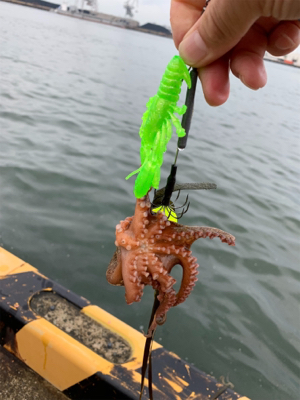 夜明けのオクトパッシング