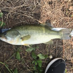 雨上がりのあと