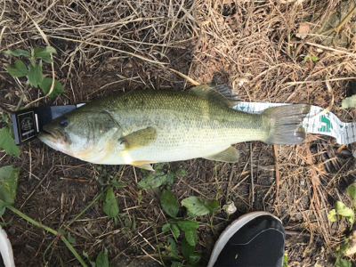 雨上がりのあと