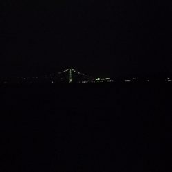 ケンサキエギング