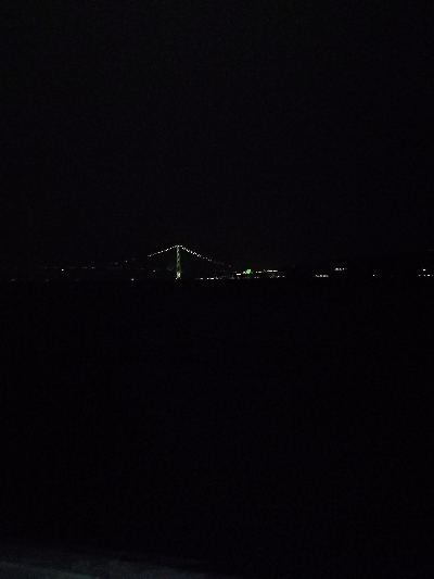 ケンサキエギング